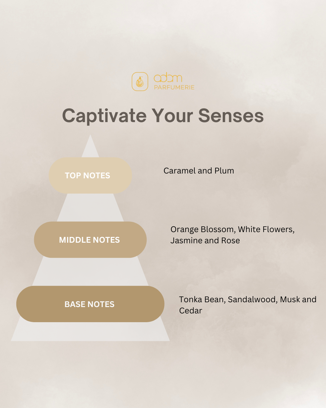 Captivate Your Senses / D